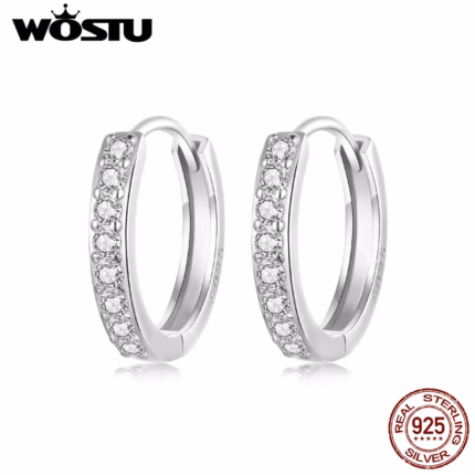 WOSTU 925 Sterling Silver Simple Zircon Round Hoop Earrings for Women European Classical Rock Hoops Wedding Jewelry Accessories